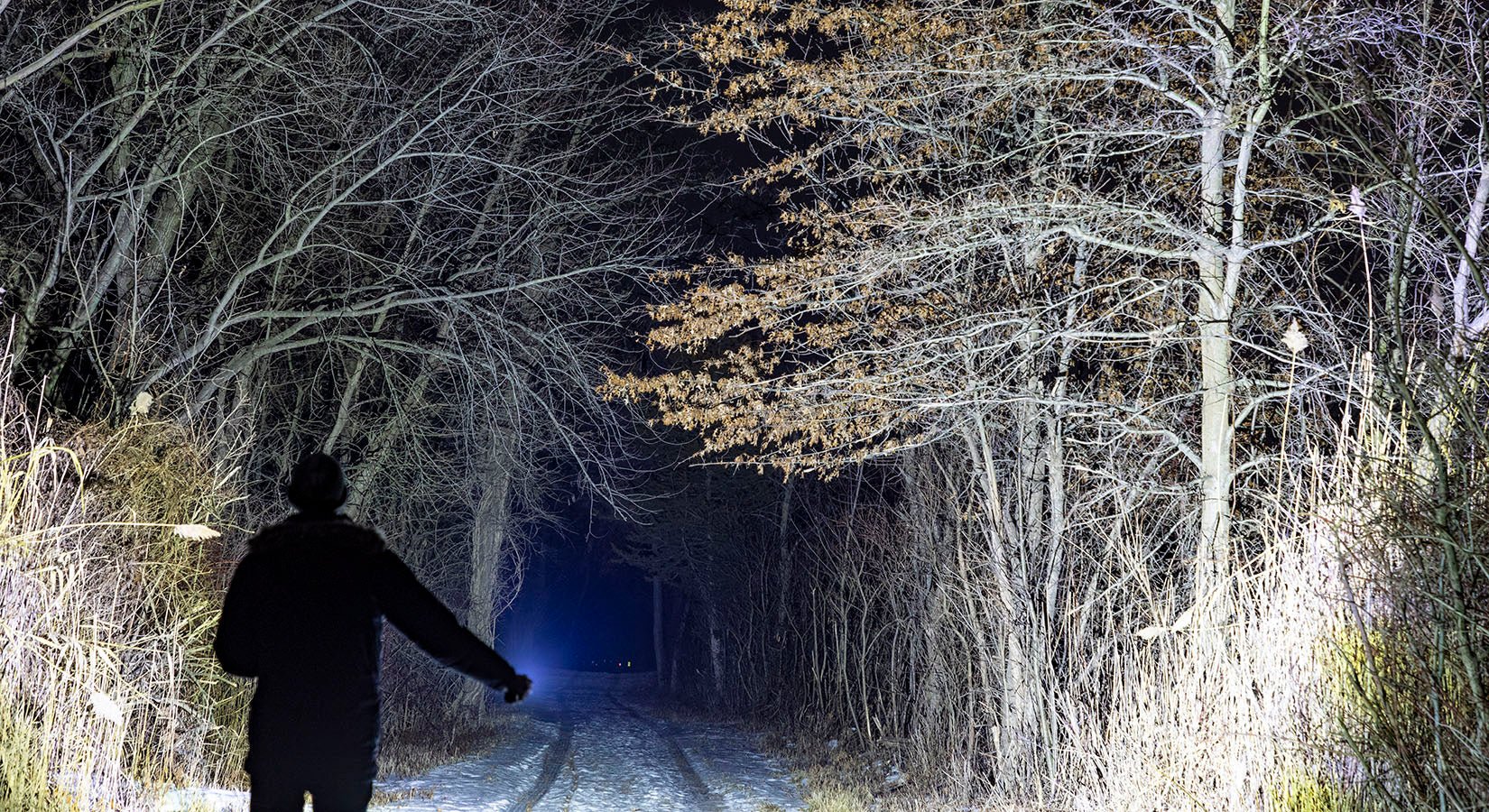 Kodiak Kolossus. 15,000 Lumens. Our most powerful Tactical Flashlight - LitezAll