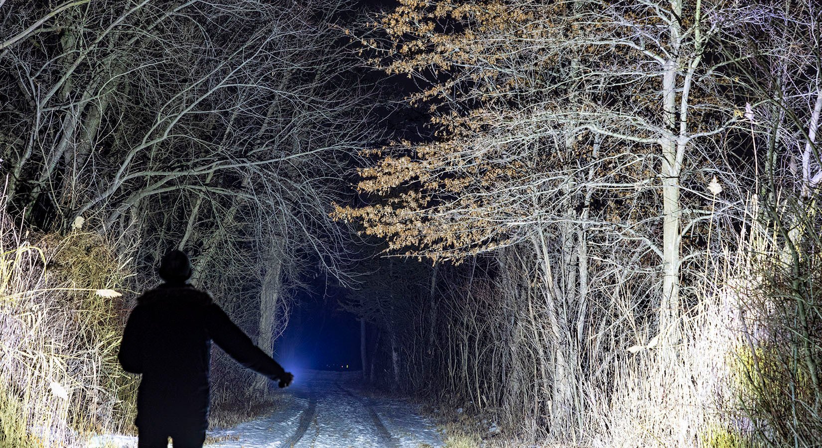 Kodiak Kolossus. 15,000 Lumens. Our most powerful Tactical Flashlight - LitezAll