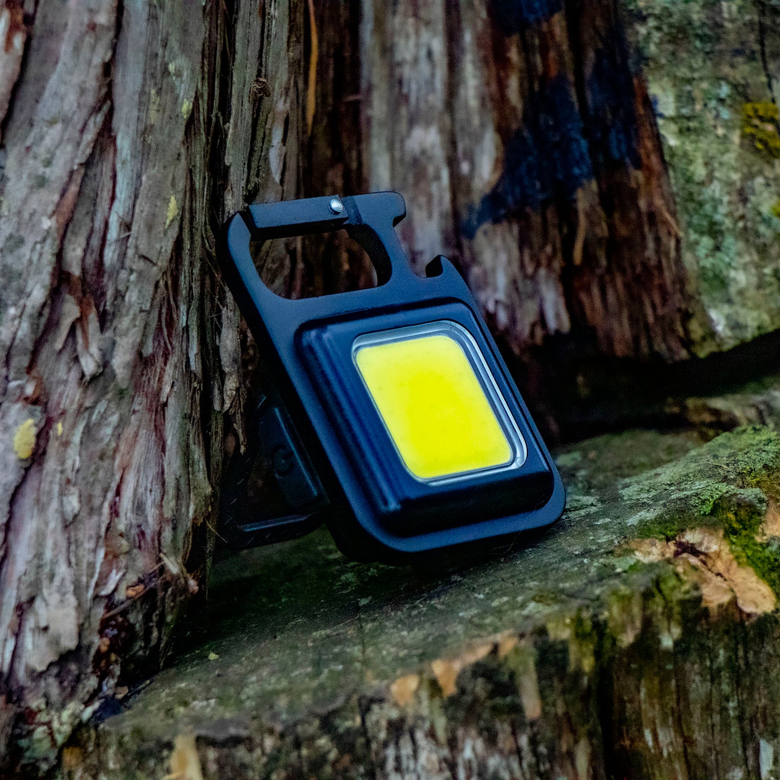 LitezAll Rechargeable 300 Lumen Kompanion 4 - Pack Gift Box - LitezAll - Work Lights - 45