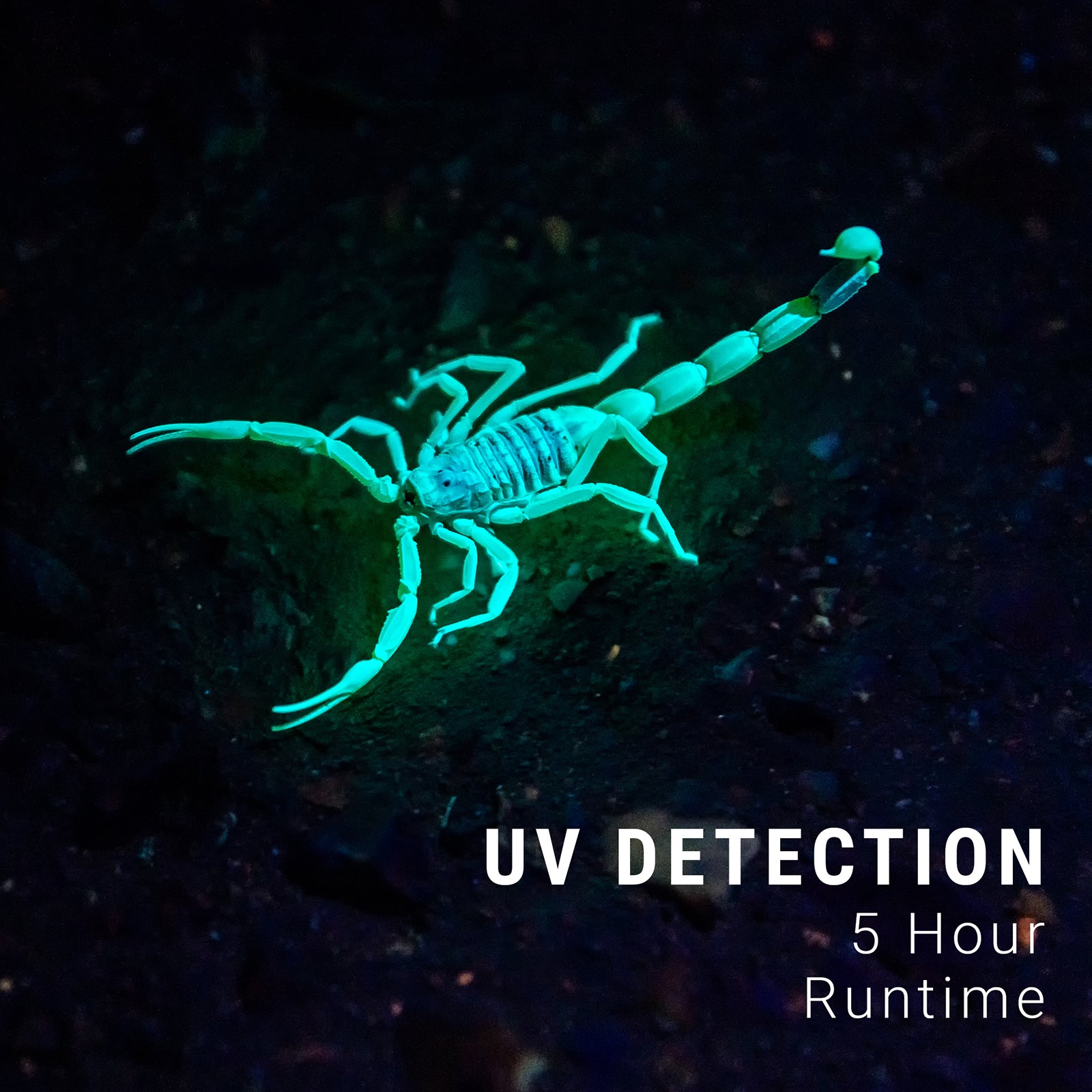 Kodiak® Keen Rechargeable 8 Mode Pocket Work Light and Flashlight - LitezAll - Work Lights - 7