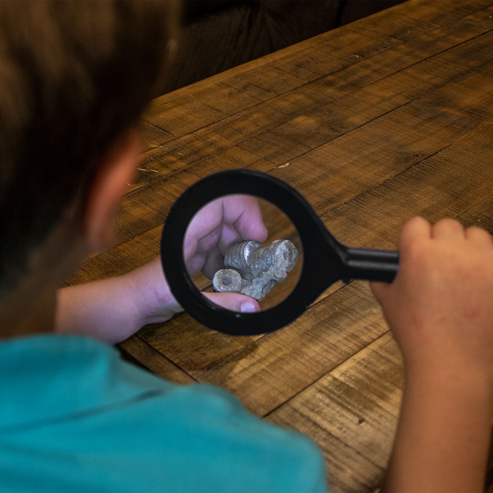 LitezAll COB LED Illuminated Magnifying Glass