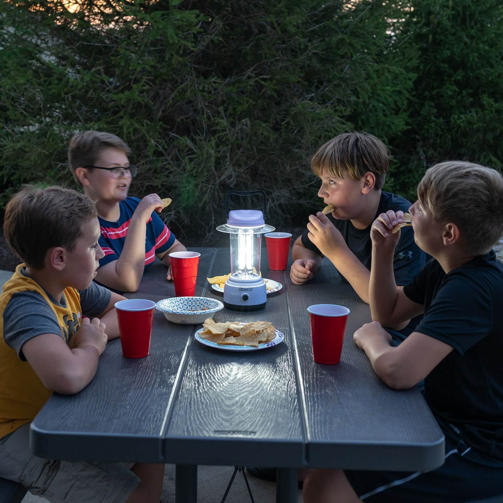 LitezAll 2000 Lumen Lantern - LitezAll - Lanterns - 7