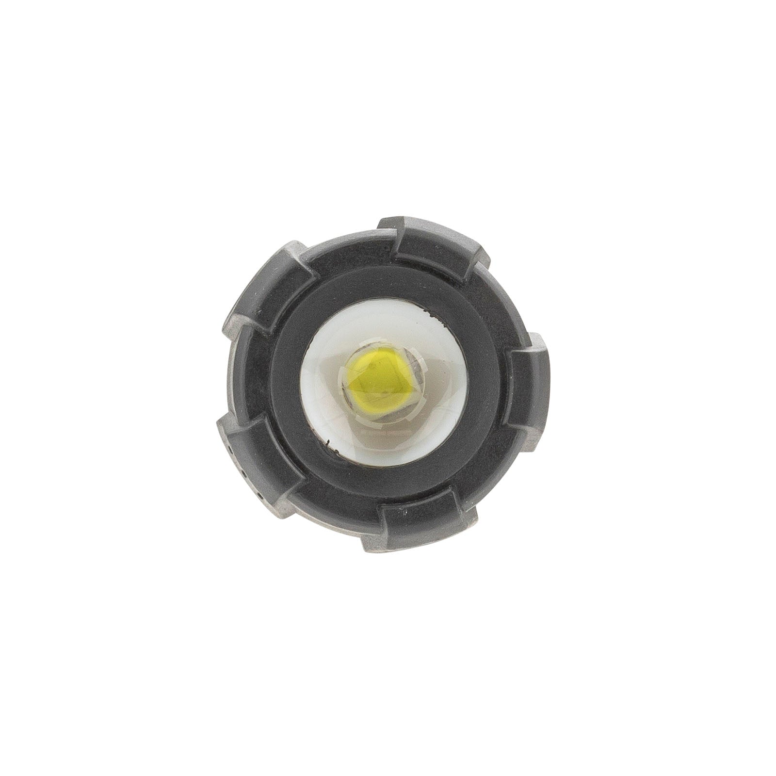 LitezAll Nearly Invincible 250 Lumen Tactical Flashlight - LitezAll - Tactical Flashlights - 22