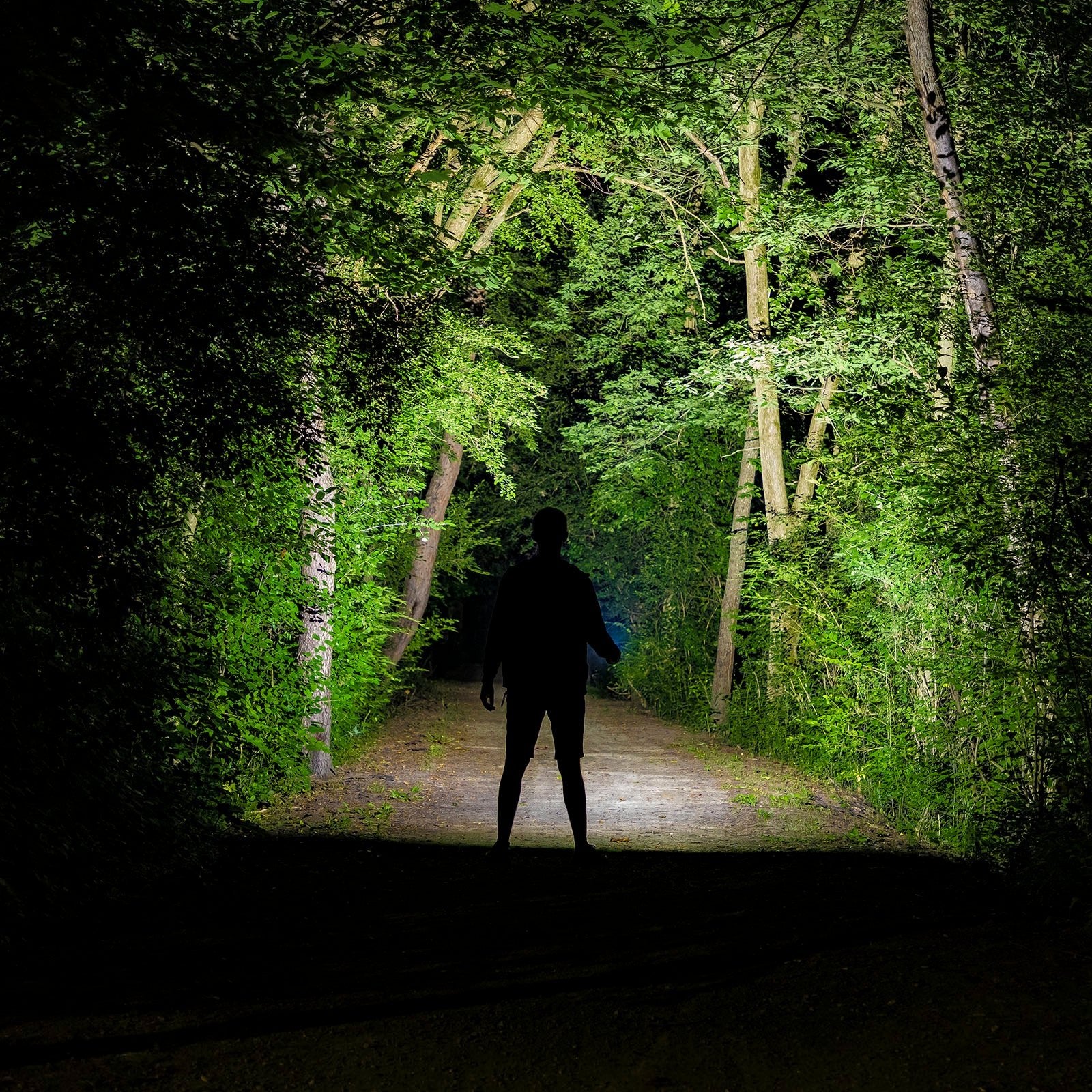 Kodiak® Komrade® 2500 Lumen Compact Rechargeable Tactical Flashlight - LitezAll - Tactical Flashlights - 3