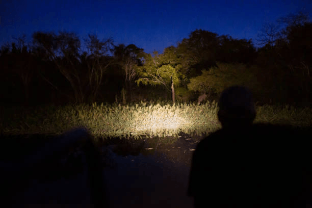 Illuminating the Hunt: The Importance of Quality Lighting in Hunting - LitezAll