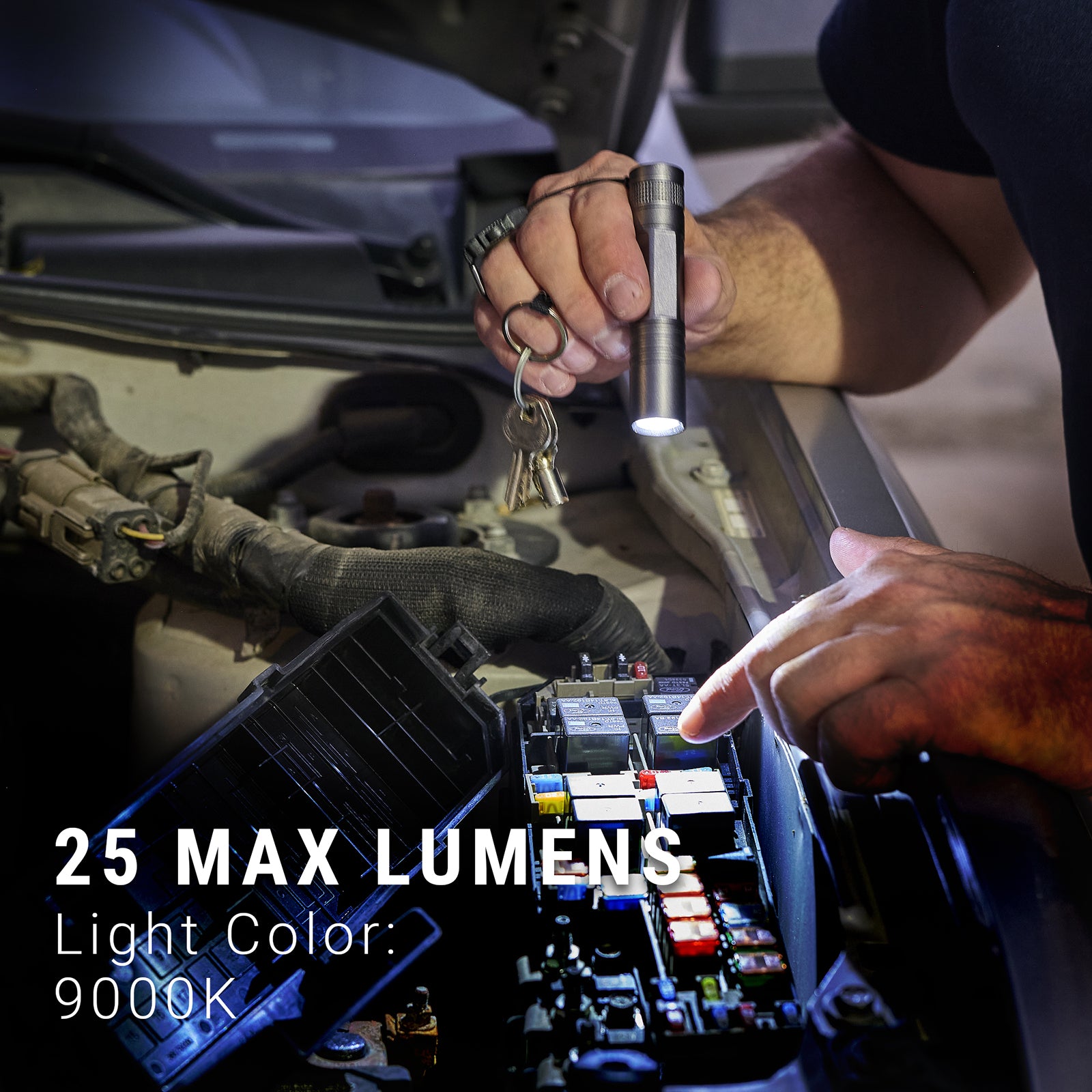 LitezAll® Flashlight Keychain 2 Pack - LitezAll - Keychain Lights - 6