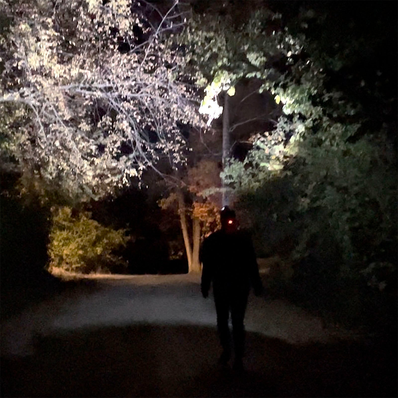 Kodiak® 1000 Lumen Nearly 1/2 Mile Beam Rechargeable Headlamp