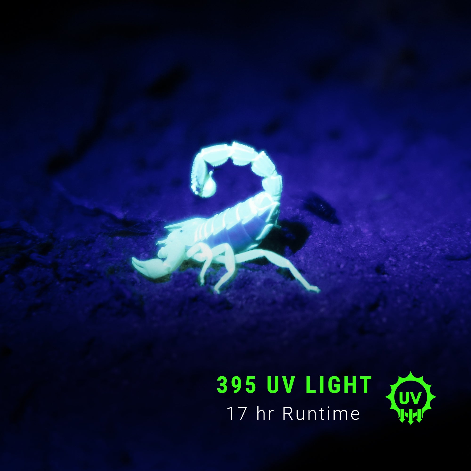 LitezAll® 2000 Lumen Rechargeable Tripod Work Light with UV Light - LitezAll - Work Lights - 5