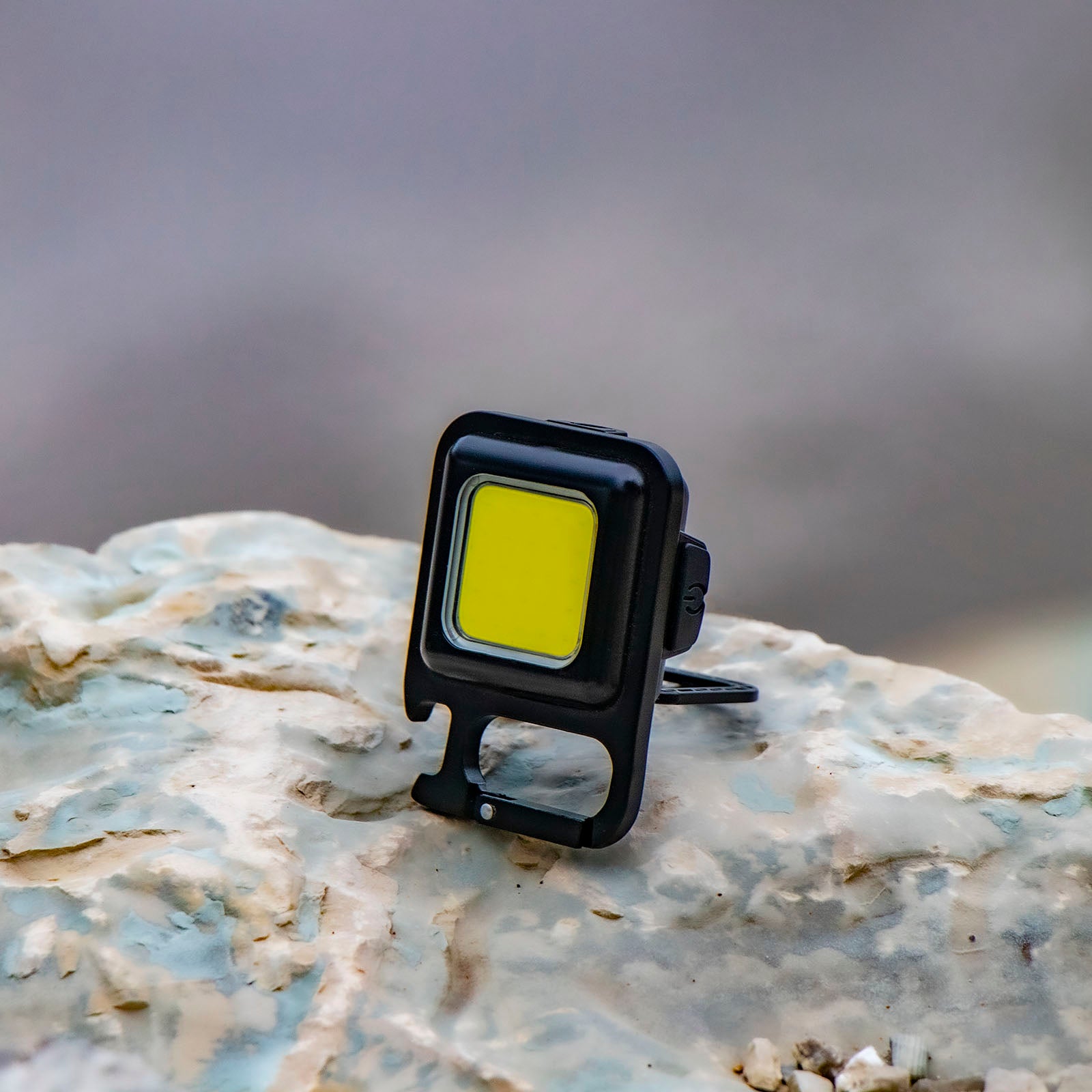 【VRTX】 LIGHT PACKAGE初心者４本セット LitezAll® Rechargeable 300 Lumen KOMPANION® 4-Pack Gift Box - LitezAll