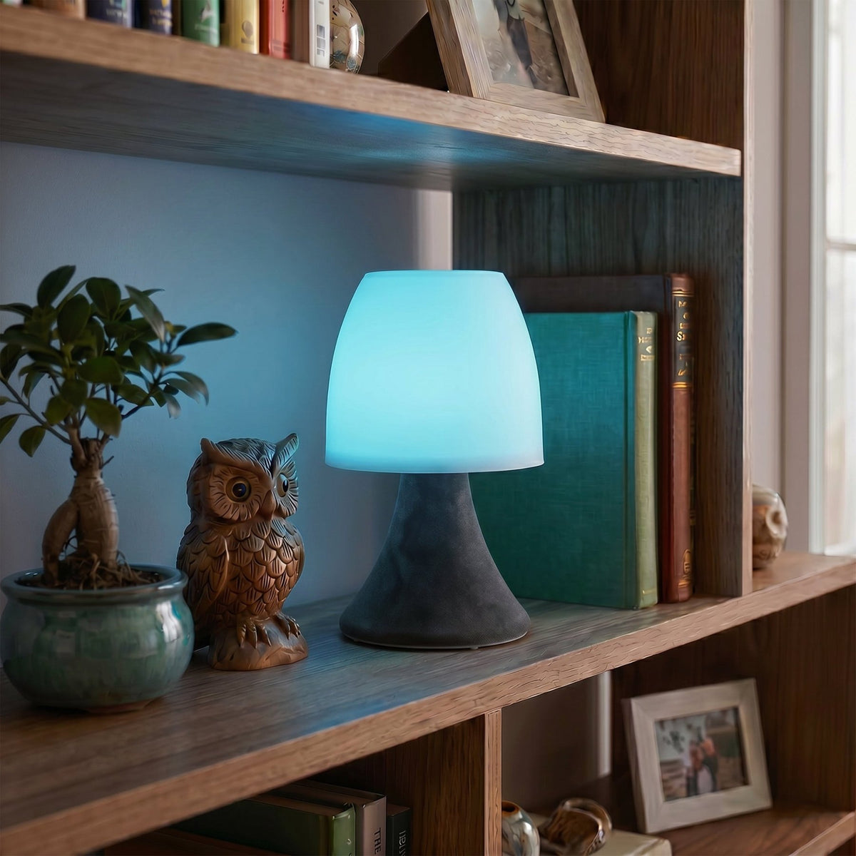LitezAll® Soft Touch Table Lamp - LitezAll - 3