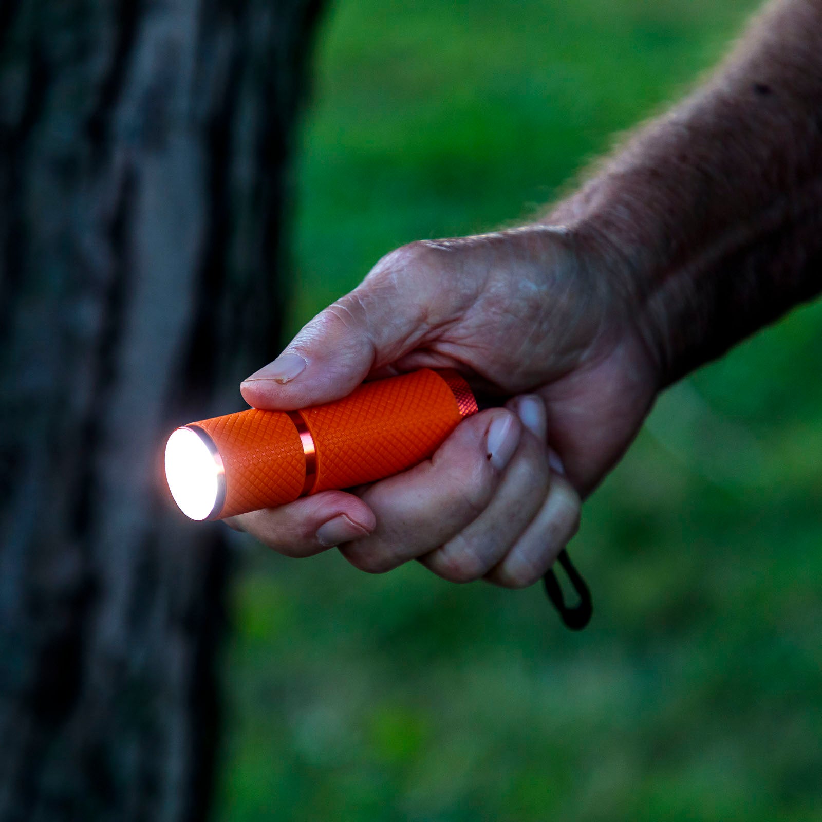 LitezAll Glow In the Dark LED Pocket Flashlight with COB LED