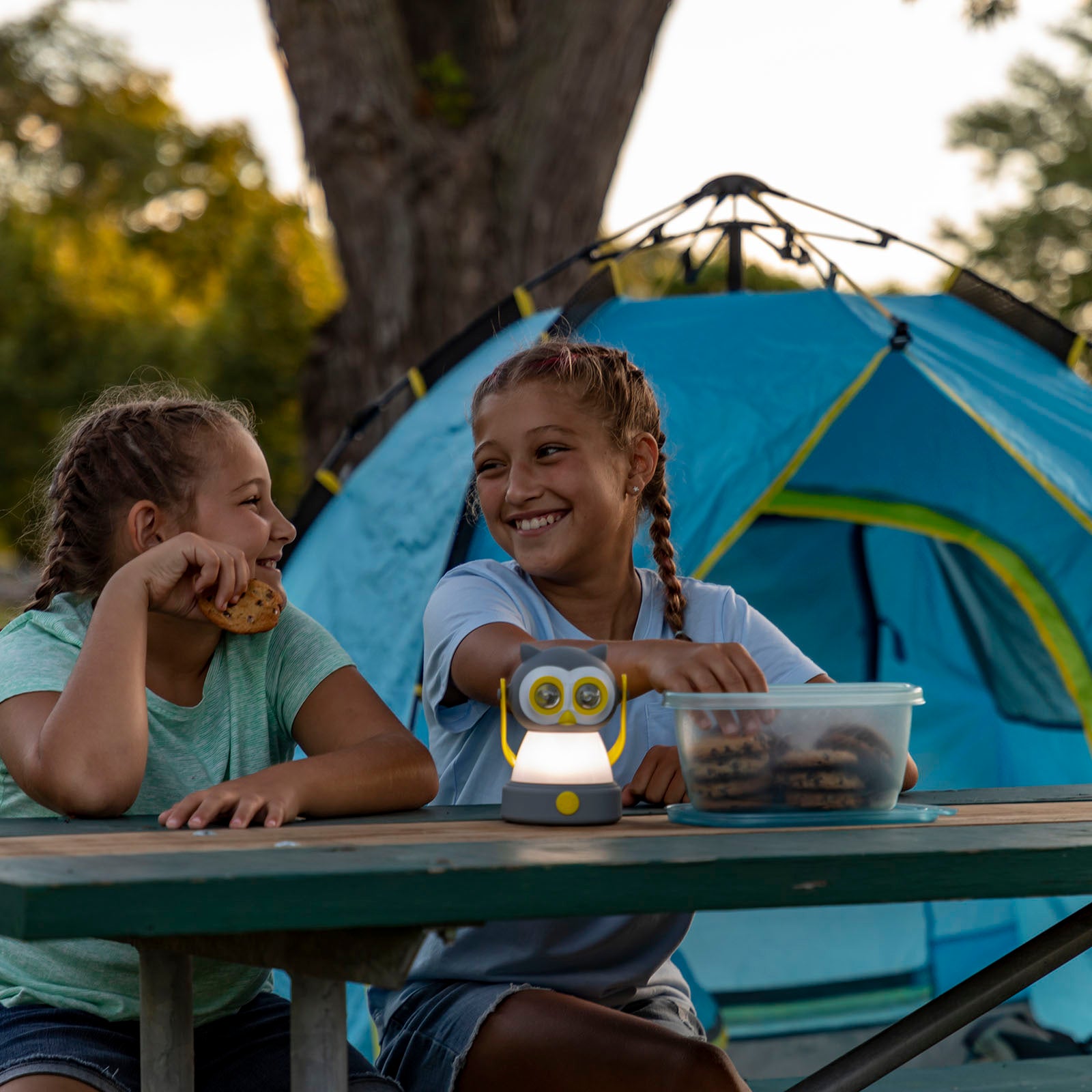 LitezAll Owl Themed Headlamp and Lantern Combo - LitezAll